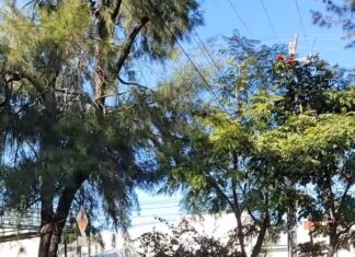 Actualización sobre ataque en Camelinas: víctimas graves pero con vida