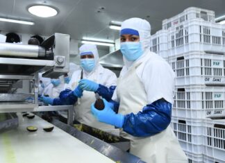 En Gobierno de Bedolla se han creado más de 31 mil nuevos empleos