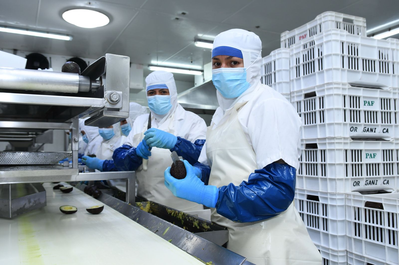 WhatsApp Image 2024-12-07 at 13.39.46