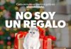 Por esta razón no debes regalar mascotas en Navidad