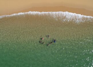 Playas michoacanas, aptas para vacacionar esta temporada: SSM