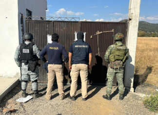 Aseguran vehículos con alteraciones y motor robado en cateo en Irimbo, Michoacán