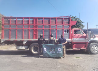 Asegura FGE dos camiones con alteraciones en operativo interinstitucional en Apatzingán