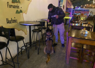 Cateo en bar de Morelia deja aseguramiento de 150 dosis de narcótico