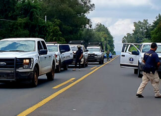 Confirman asesinato del tesorero de Zinapécuaro; hallan su cuerpo cercenado en la Autopista de Occidente