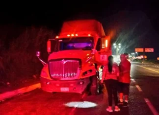 Tráiler atropella y mata a una vaca en la Autopista Siglo XXI; conductor resulta con heridas leves