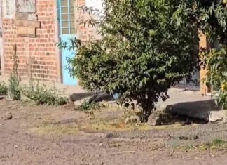 Asesinan a una mujer en la vía pública en Jacona, Michoacán