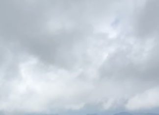 El 50 Aniversario del Descubrimiento de los Santuarios de la Mariposa Monarca es una oportunidad para reconocer el trabajo de quienes diariamente preservan la reserva biosfera y protegen los bosques de Michoacán.