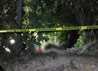 Encuentran a hombre asesinado y con la cabeza calcinada en San Felipe Los Alzati