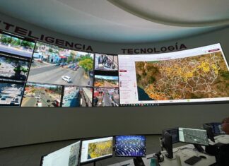 Con Guardián Forestal, más de 300 denuncias por cambio de uso de suelo en 2024: Bedolla