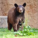 WhatsApp Image 2025-01-04 at 09.25.47 (3)