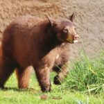 WhatsApp Image 2025-01-04 at 09.25.48