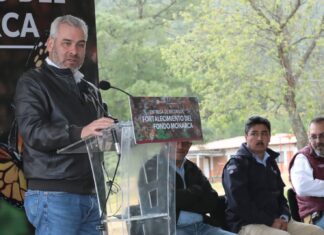 Con Fondo Monarca aumentó pago de servicios ambientales para cuidar la mariposa: Bedolla
