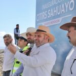 WhatsApp Image 2025-01-29 at 10.16.00 AM