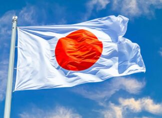 Terremoto de 6.9 sacude Japón y activa alerta de tsunami