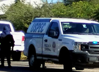 Hombre es encontrado asesinado y con huellas de tortura en Téjaro, Tarímbaro