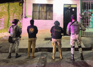 Fiscalía General asegura 755 dosis de metanfetamina y detiene a un hombre en Morelia