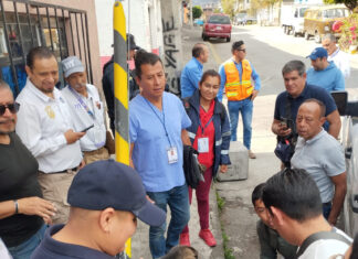 Fiscalía General asegura cinco cachorros abandonados durante operativo del Día de Reyes