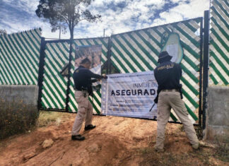 Fiscalía General intensifica combate contra tala y cambio de uso de suelo en Michoacán