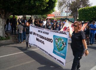 Veterinarios exigen seguridad y respeto en su labor con marcha en Morelia