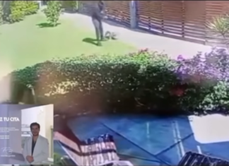 Médico del Hospital Ángeles Lomas es captado azotando a un perro