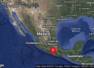 Tiembla en Guerrero este 14 de febrero; se activa alerta sísmica