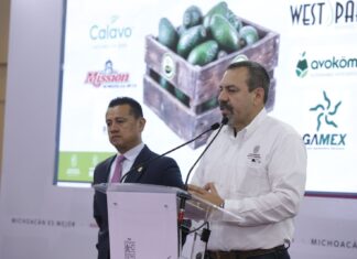 Tercera parte del aguacate para el Super Bowl está certificado