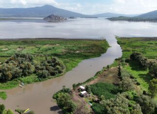 Con maquinaria especializada continuará conservación del lago de Pátzcuaro