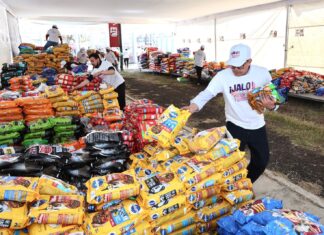 Entregadas a refugios casi 60 toneladas de croquetas para michis y lomitos: Paula Espinosa