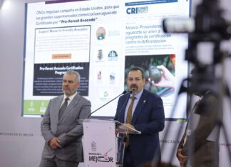 Impulsan ONG certificación de aguacate michoacano en EUA