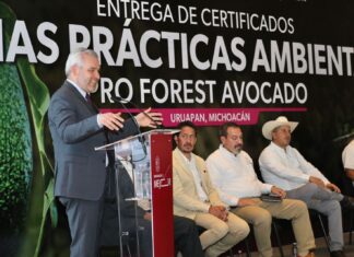Comunidades indígenas, ejemplo en certificación de huertas de aguacate: Bedolla