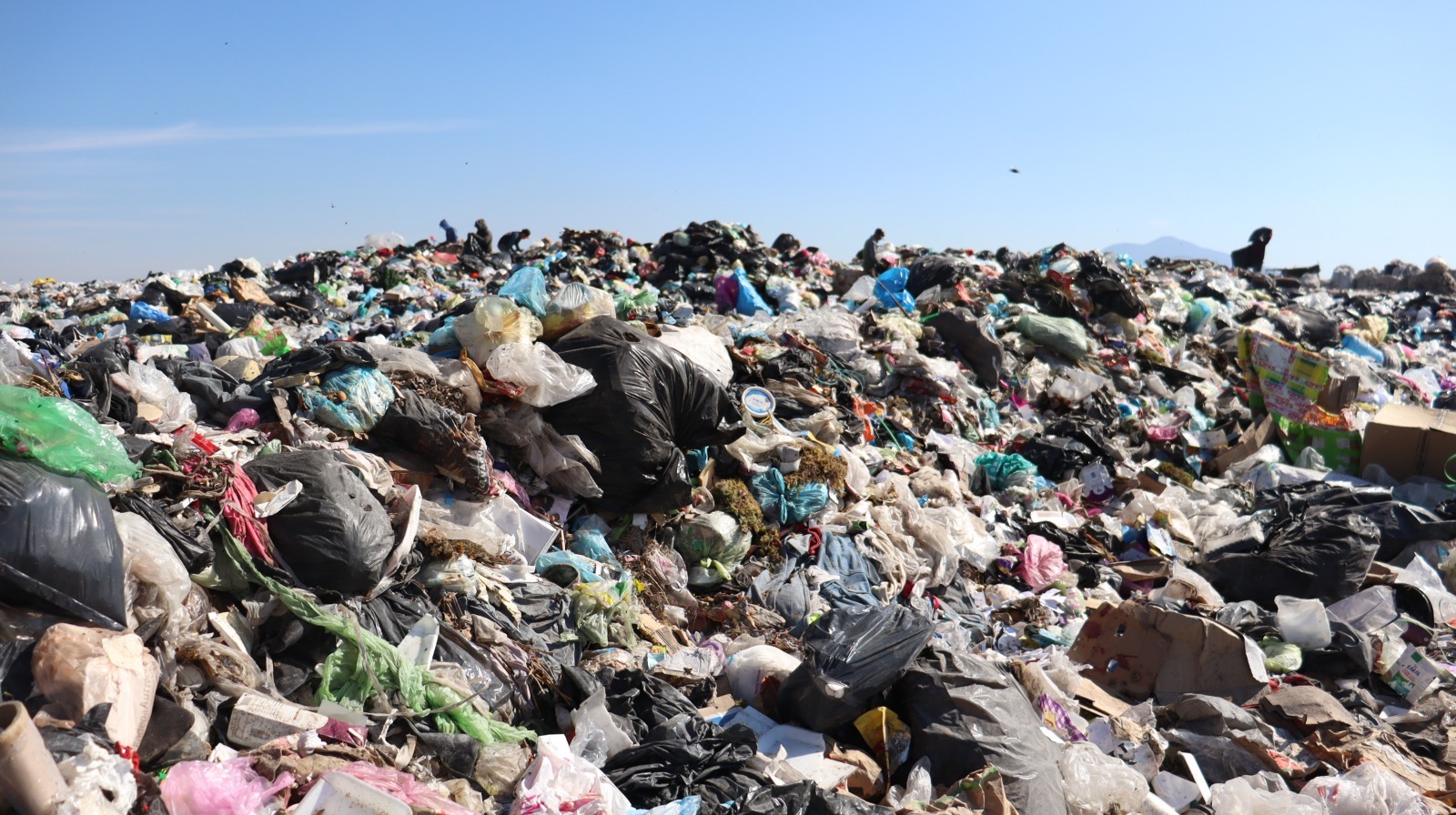 WhatsApp Image 2025-02-16 at 4.03.03 PM (1)