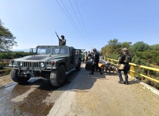 Caen integrantes de célula criminal; extorsionaban a productores de limón y aguacate: SSP