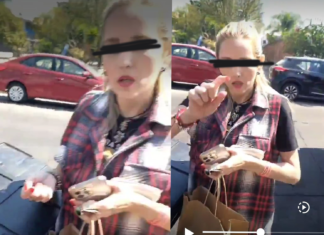 VIDEO | ¡Surge otra #LadyUber! Ahora por 10 pesos menos en la tarifa