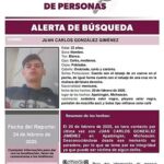 mimorelia_2025-02-26_diee63r8_WhatsApp-Image-2025-02-26-at-13.01.23-3