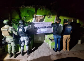 Fiscalía General asegura narcótico y detiene a un hombre en cateo realizado en José Sixto Verduzco