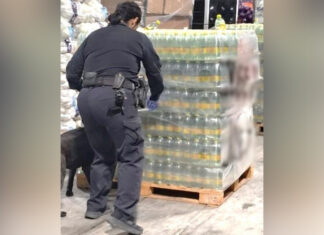 Decomisan más de una tonelada de metanfetamina líquida oculta en botellas de agua mineral en la frontera con EE.UU.