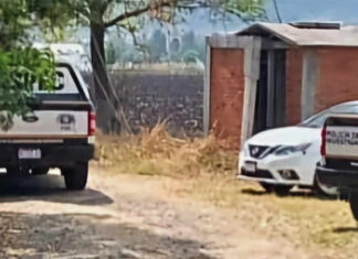 Hallan a hombre maniatado y ejecutado en Álvaro Obregón, Michoacán