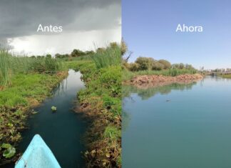 Avanza rescate de La Mintzita; extraídos más de mil metros cúbicos de maleza: Secma