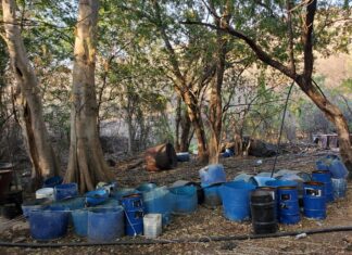 Duro golpe al narco; aseguran laboratorio y 100 kg de mentanfetamina: SSP