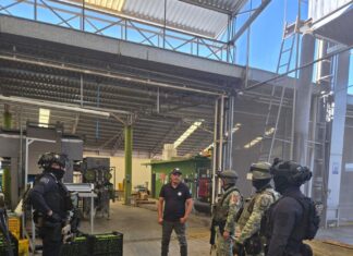 Continúa operativo contra extorsión a limoneros en Tierra Caliente: SSP