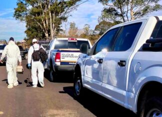 Hallan cadáver putrefacto y carcomido en predio al poniente de Morelia