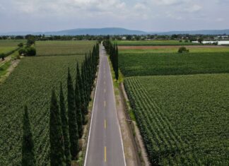 Gobierno de Michoacán ha rehabilitado 50 % de la red carretera: SCOP