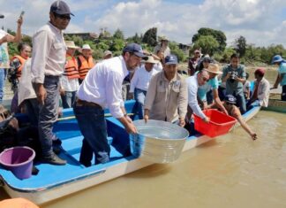 Avanza proceso para lograr denominación de origen del pez blanco: Bedolla