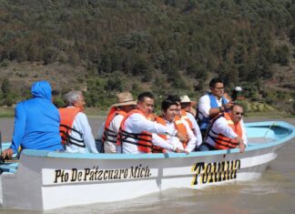 Siembra Gobierno de Michoacán 20 mil peces en el lago de Pátzcuaro