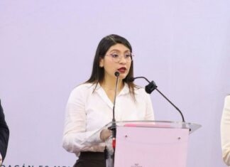 Michoacán, referente nacional por baja impunidad en delitos contra mujeres: Alejandra Anguiano
