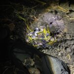 WhatsApp Image 2025-03-25 at 2.19.18 PM (1)