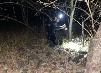 Desactivados 20 artefactos explosivos en Buenavista: SSP