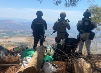 Destruyen dos campamentos de la delincuencia organizada en Parácuaro