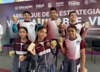 Estos alimentos sí podrán vender las cooperativas escolares: SEE